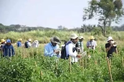 國外鄉村旅游開發模式及案例解析 種植技術開發的創新路徑