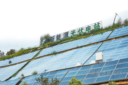 云南交投集團 以新質(zhì)生產(chǎn)力賦能綠美通道經(jīng)濟，推動種植技術開發(fā)創(chuàng)新