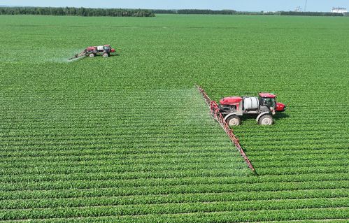 北大荒集團北安分公司 以定制農業與種植技術開發，繪就高質量發展新圖景
